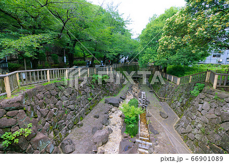 日本の東京都市景観 音無親水公園などを望む=北区 日本の東京都市景観 音無親水公園などを望む=北区 66901089