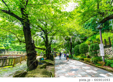 日本の東京都市景観 音無親水公園などを望む＝北区 66901093