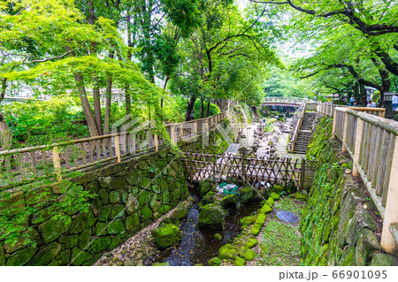 日本の東京都市景観 音無親水公園などを望む=北区 日本の東京都市景観 音無親水公園などを望む=北区 66901095