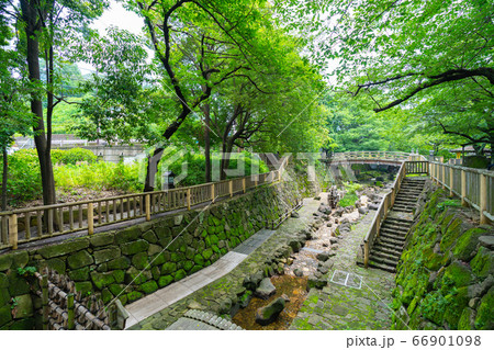 日本の東京都市景観 音無親水公園などを望む=北区 日本の東京都市景観 音無親水公園などを望む=北区 66901098