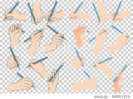 Hand holding a pencil Hand holding a pencil 66901319