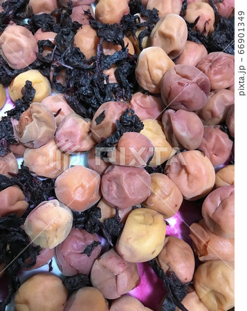 梅干し　手作り　完成 66901349