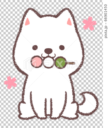 Shiba inu eating three color dumplings 66901450