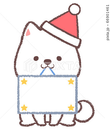 クリスマスカードをくわえる白柴犬 66901461