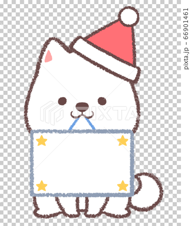 クリスマスカードをくわえる白柴犬のイラスト素材