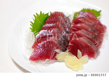 カツオ カツオ 66901557