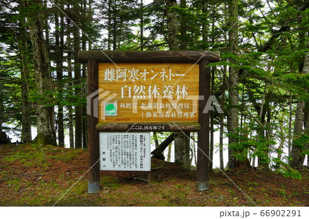 雌阿寒オンネトー自然休養林 雌阿寒オンネトー自然休養林 66902291