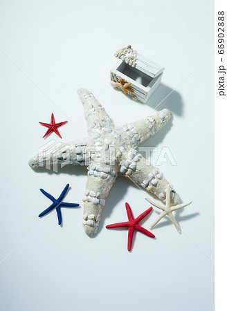 ヒトデ ボックス 季節 66902888