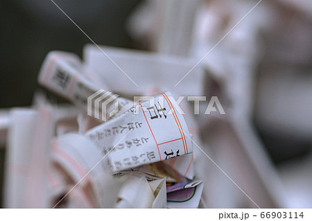 おみくじ 66903114