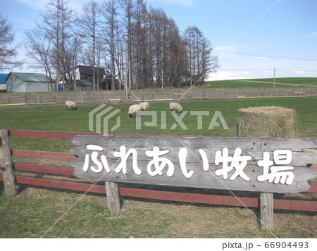 ふれあい牧場 ふれあい牧場 66904493