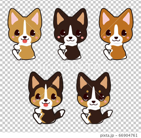 粘性動物（柯基犬） 66904761