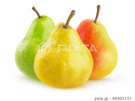 Yellow, green and yellow red isolated pears 66905151
