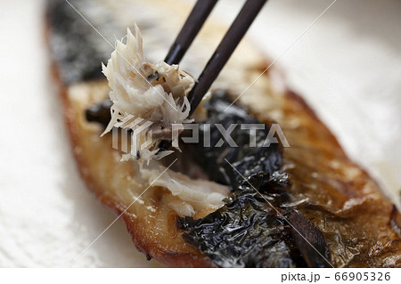 焼き魚 塩鯖 焼き魚 塩鯖 66905326