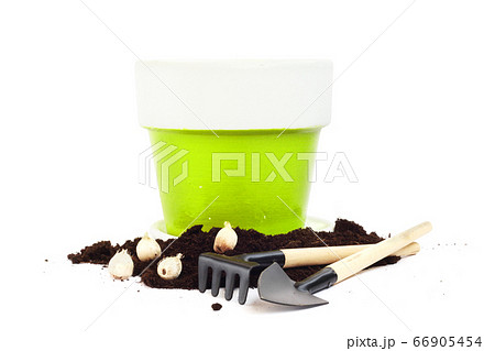 Gardening concept Gardening concept 66905454