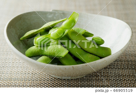 枝豆 66905519