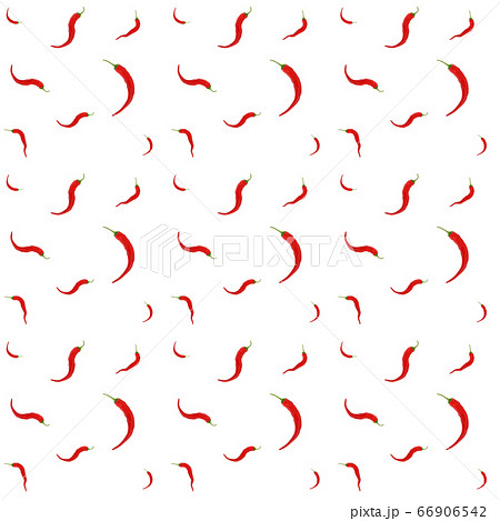 Vector seamless pattern with chili peppers Vector seamless pattern with chili peppers 66906542