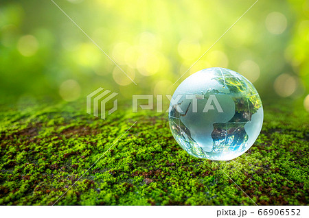 The crystal ball stands on the green grass. Concept day earth Save the world save environment 66906552