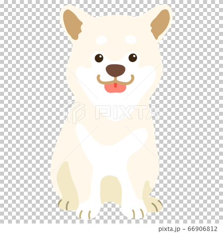笑顔でお座りする白い柴犬の手描きのイラスト　主線なし 66906812