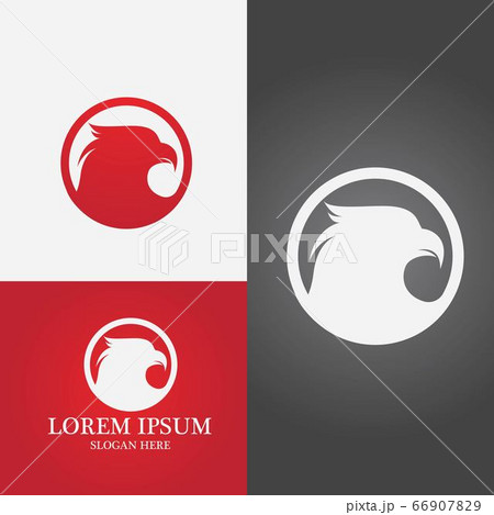 Falcon Logo Template vector Falcon Logo Template vector 66907829