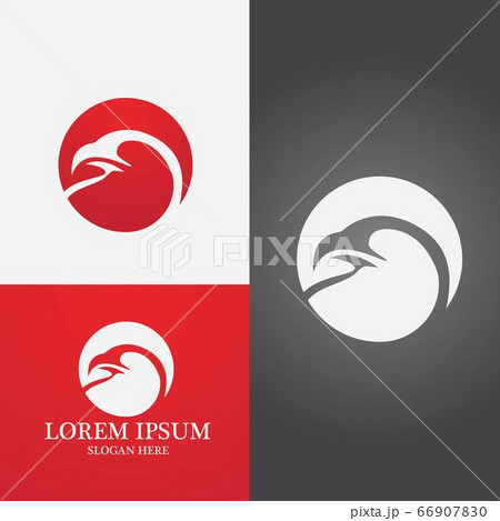 Falcon Logo Template vector Falcon Logo Template vector 66907830