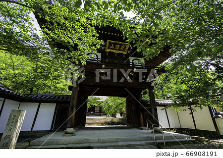 竹原の街並み　照蓮寺　広島県竹原市 66908191
