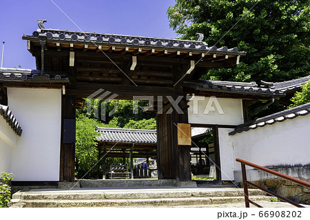 竹原の街並み　照蓮寺　広島県竹原市 66908202