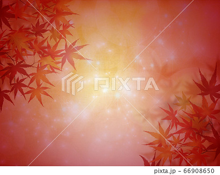紅葉 66908650