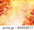 紅葉 66908677