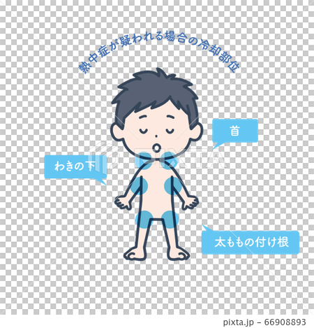 熱中症が疑われる時の冷却部位のイラスト 66908893
