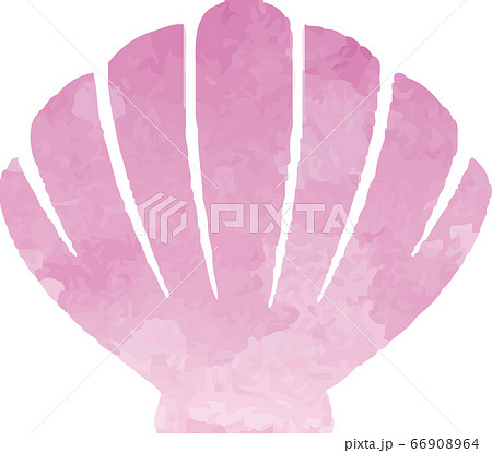 夏 水彩 ポップ 貝殻 フレーム コピースペース 背景のイラスト素材