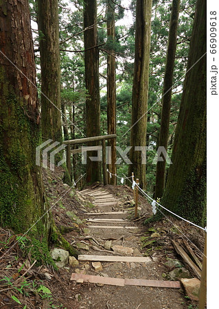 玉置神社の神域 玉置神社の神域 66909618