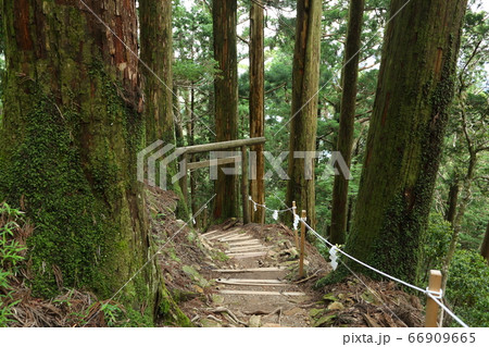玉置神社の神域 玉置神社の神域 66909665