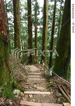 玉置神社の神域 玉置神社の神域 66909666