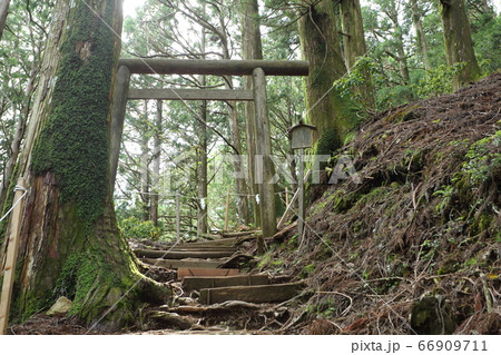 玉置神社の神域 66909711