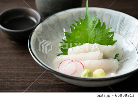 イカの刺身 66909813