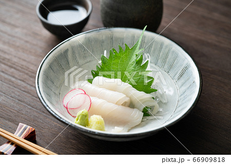 イカの刺身 66909818