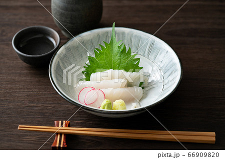 イカの刺身 イカの刺身 66909820