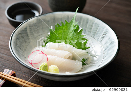 イカの刺身 イカの刺身 66909821