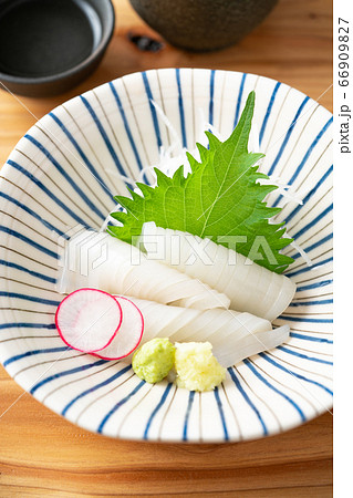 イカの刺身 イカの刺身 66909827