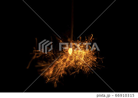 夏イメージ 儚くも美しい線香花火の写真素材