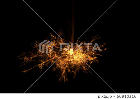 【夏イメージ】儚くも美しい線香花火 66910316