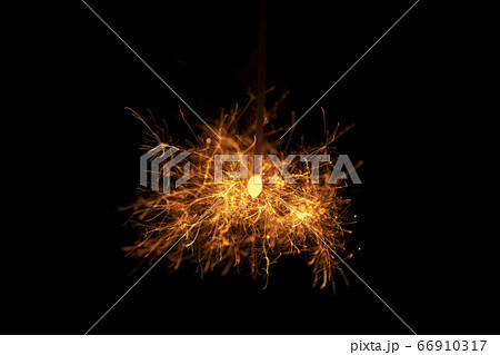 【夏イメージ】儚くも美しい線香花火 66910317