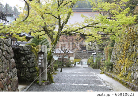 勝林院 勝林院 66910623