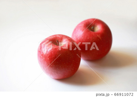 冬の味覚 リンゴのサンふじ 冬の味覚 リンゴのサンふじ 66911072