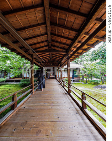 京都 建仁寺 龍の天井画 66911156