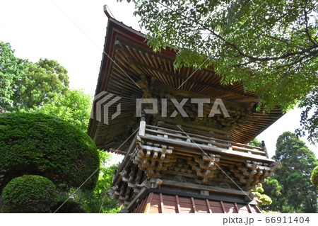 千葉県香取郡多古町 日本寺の紫陽花 66911404