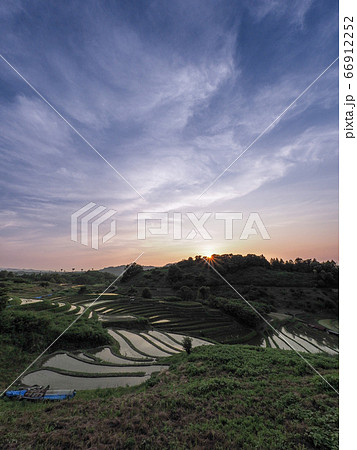 千早赤阪村 下赤阪の棚田 農作業する人 66912252