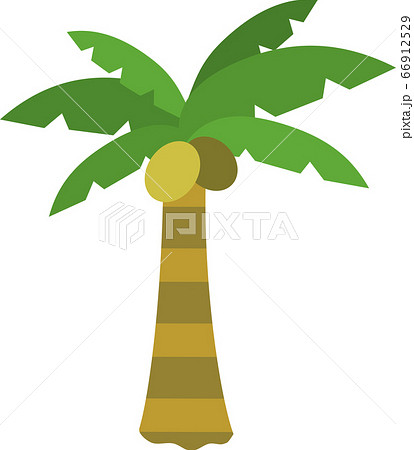 ヤシの木のイラスト素材