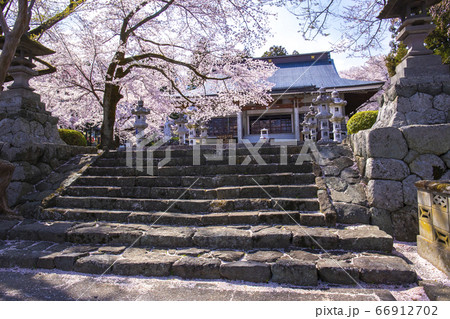 【山梨県】桜満開の妙了寺 【山梨県】桜満開の妙了寺 66912702