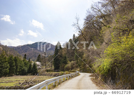 山梨中央市 山の神千本桜の写真素材